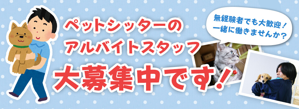 ペットシッターのアルバイトスタッフ大募集中です！無経験者でも大歓迎！一緒に働きませんか？